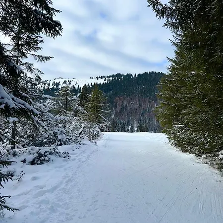 Summit Alps - Inclusive Bergbahntickets * Oberjoch